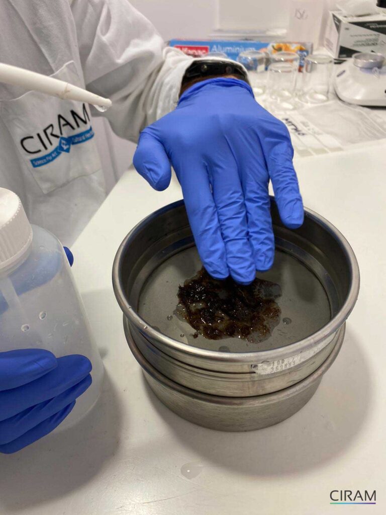 Comment vérifier la naturalité d’un arôme grâce au carbone 14 ?
