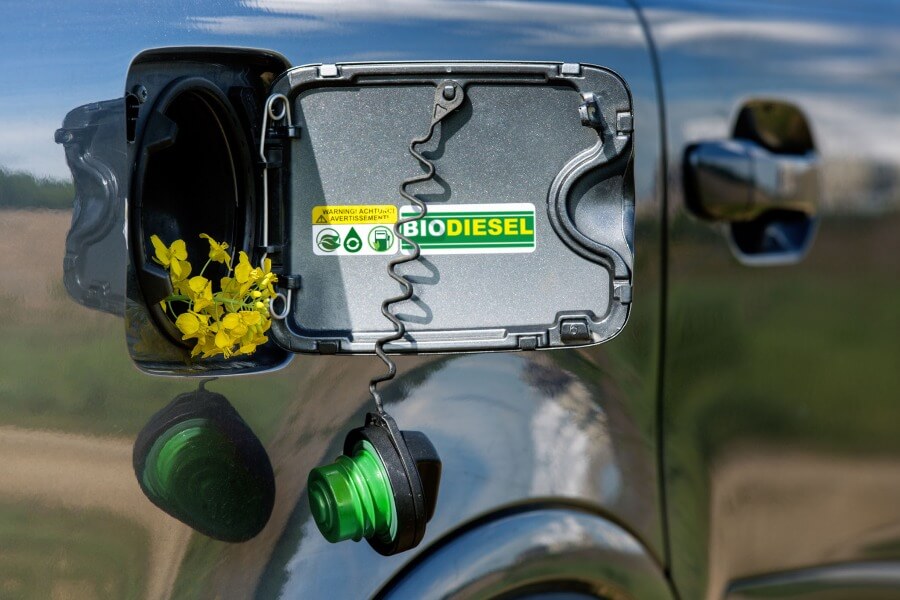 Vehicle fuel cap with a rapeseed plant illustrating bio-based fuels and ASTM D6866 analysis