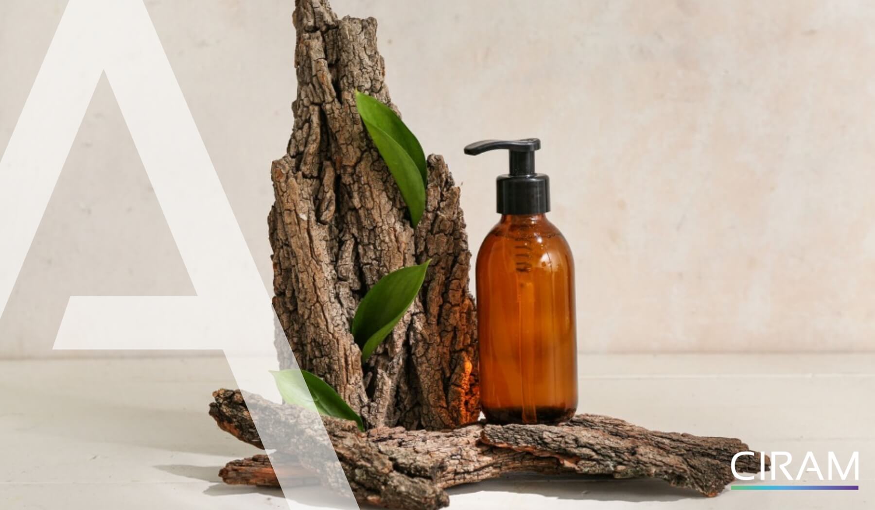 Piece of tree bark with leaves next to a cosmetic tube, illustrating natural ingredients and botanical origin in skincare