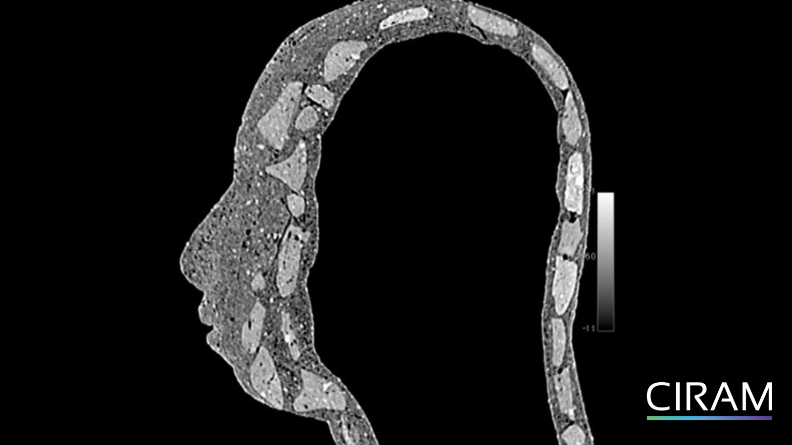 Cross-sectional view of an art object shaped like a head