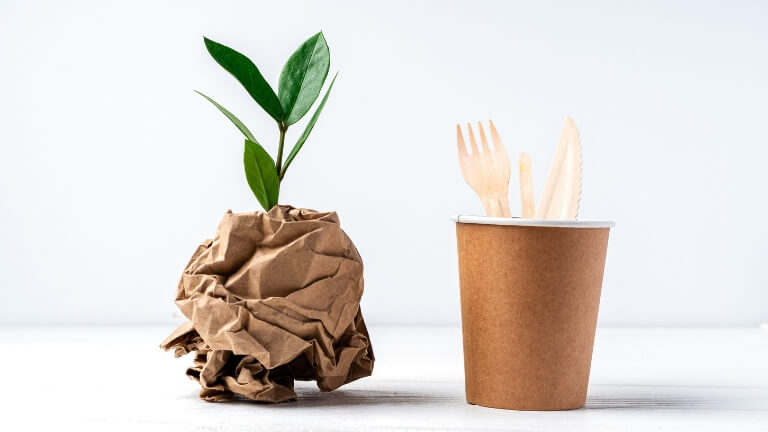 Gobelet et couverts en bois biodégradables à côté d'une jeune plante poussant dans du papier froissé