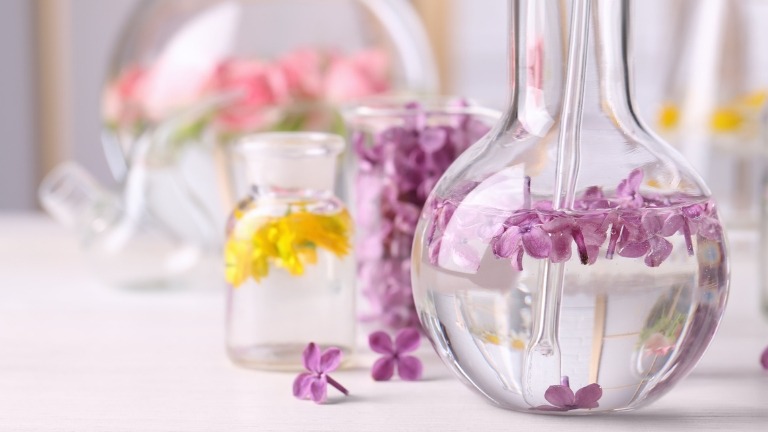 Flowers in laboratory glassware used for cosmetic analysis and identification of bio-based cosmetics