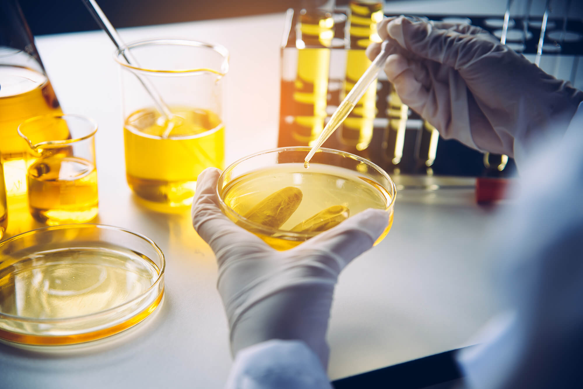 vérification de l’authenticité d’huiles essentielles en laboratoire par échantillonnage et analyse