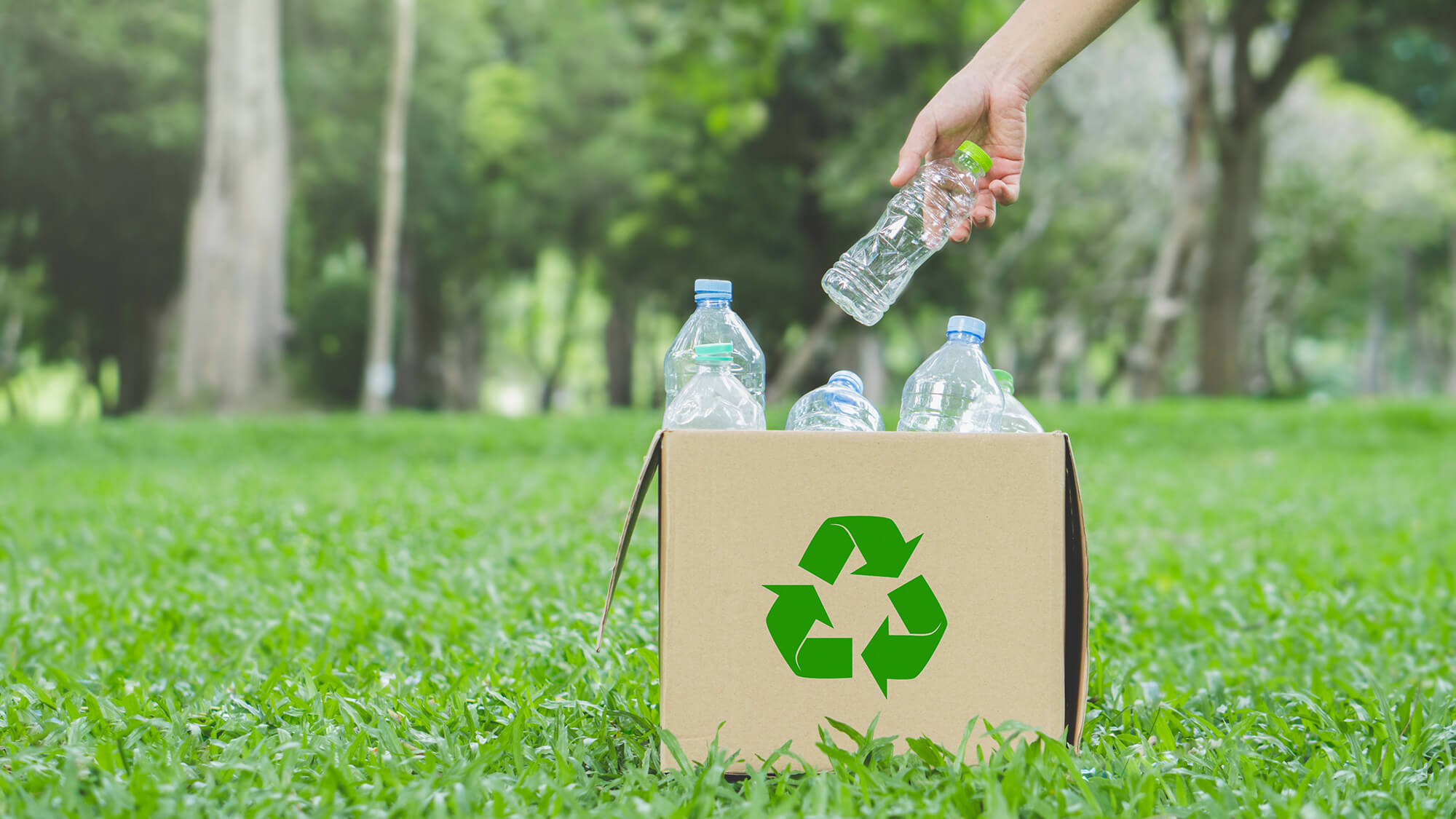 Cardboard box containing bio-based products