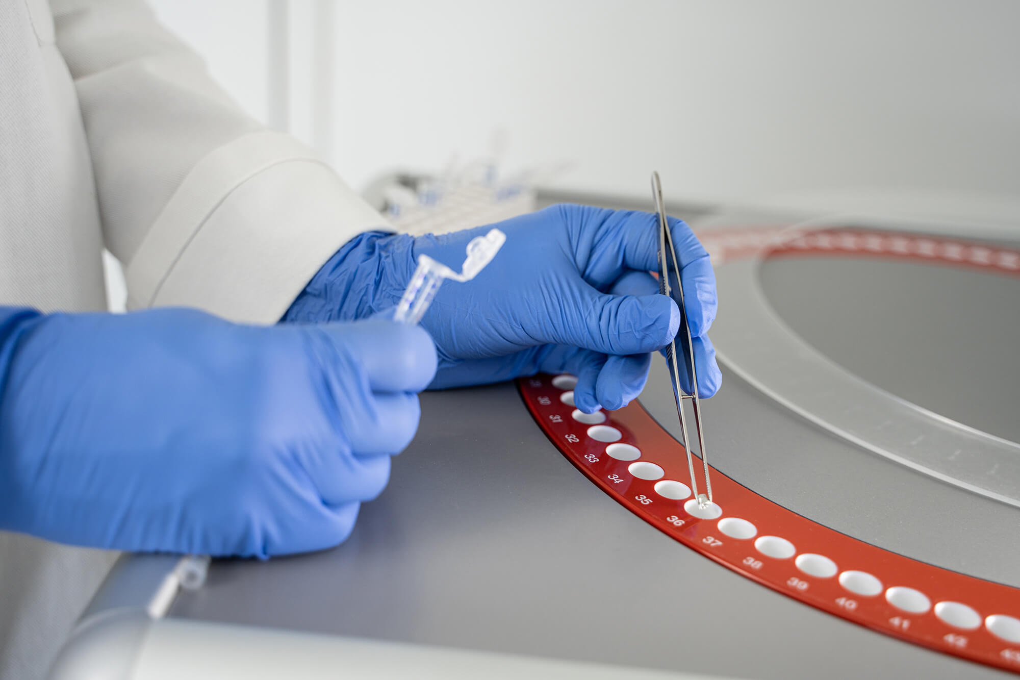 Laboratory technician preparing samples for the graphitization process