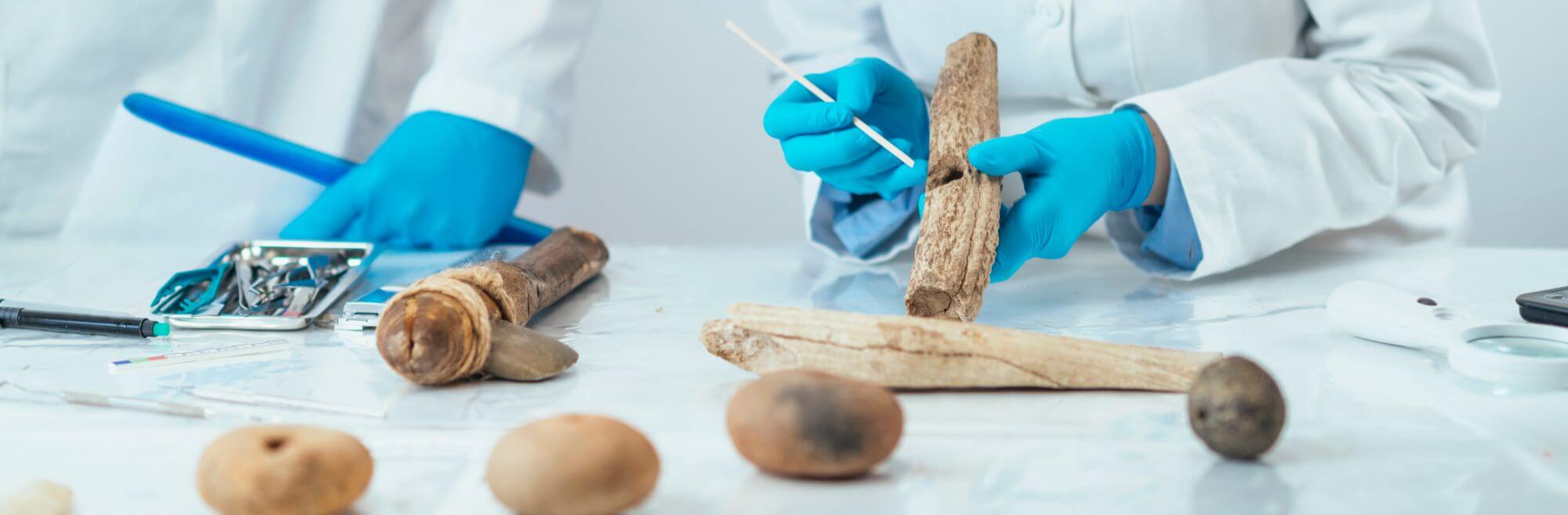 Arch&eacute;ologie