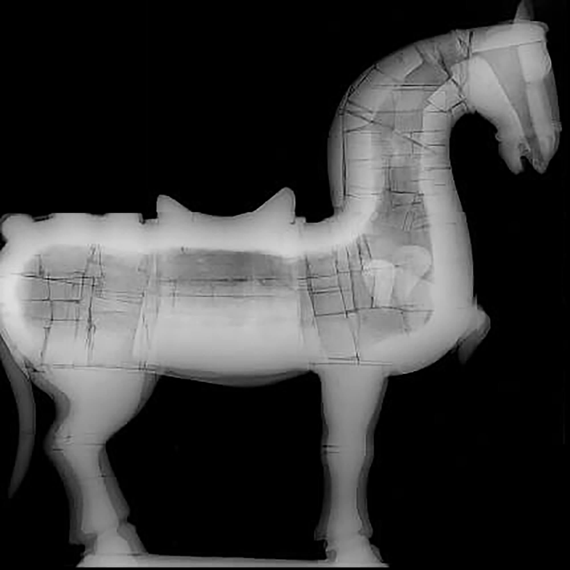 قطعة فنية على شكل حصان تم تحليلها بواسطة التصوير المقطعي المحوسب (CT scan) والتصوير