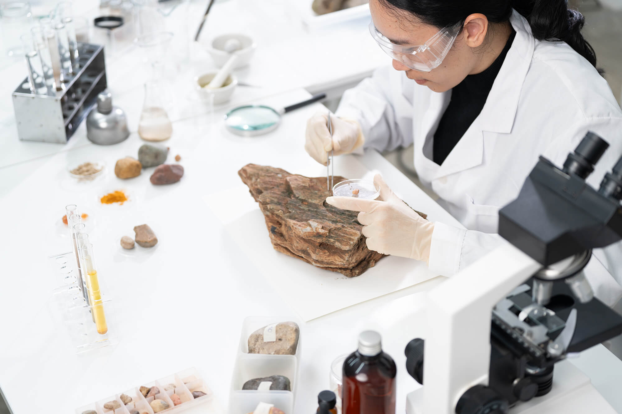 A scientist sampling wood specimens in a laboratory surrounded by organic and mineral materials