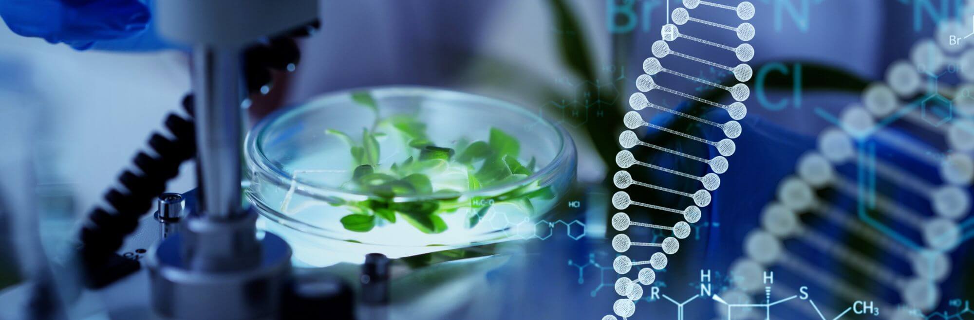 Biosourced industry