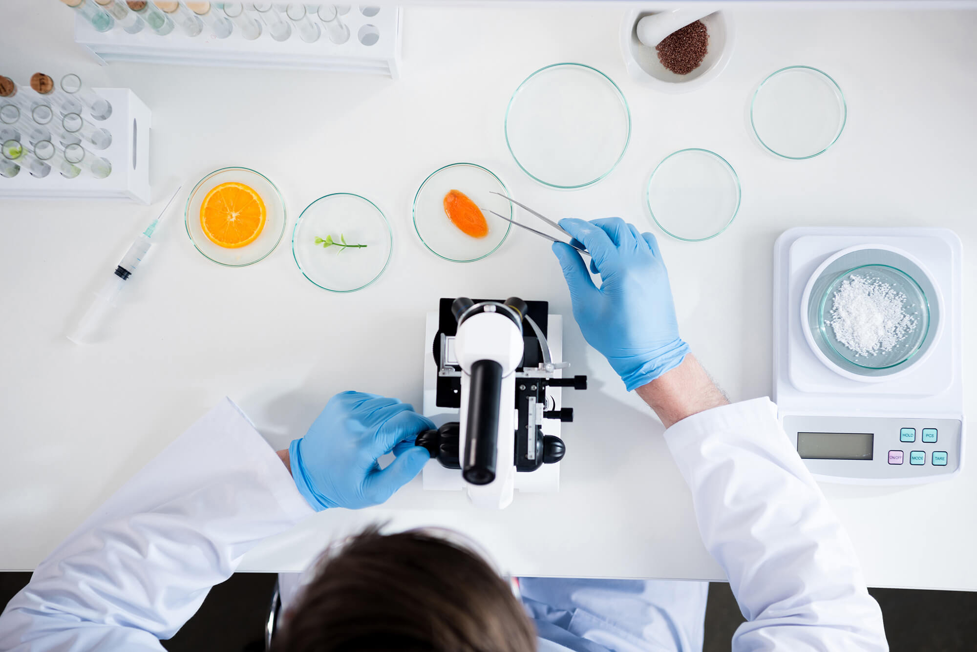 Scientist analyzing natural food samples using microscopy