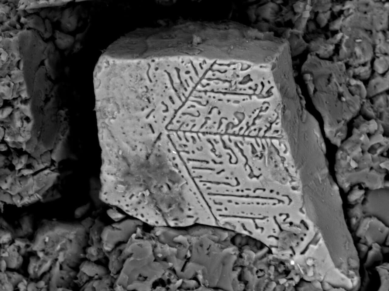 SEM image showing the microstructure of a stone sample
