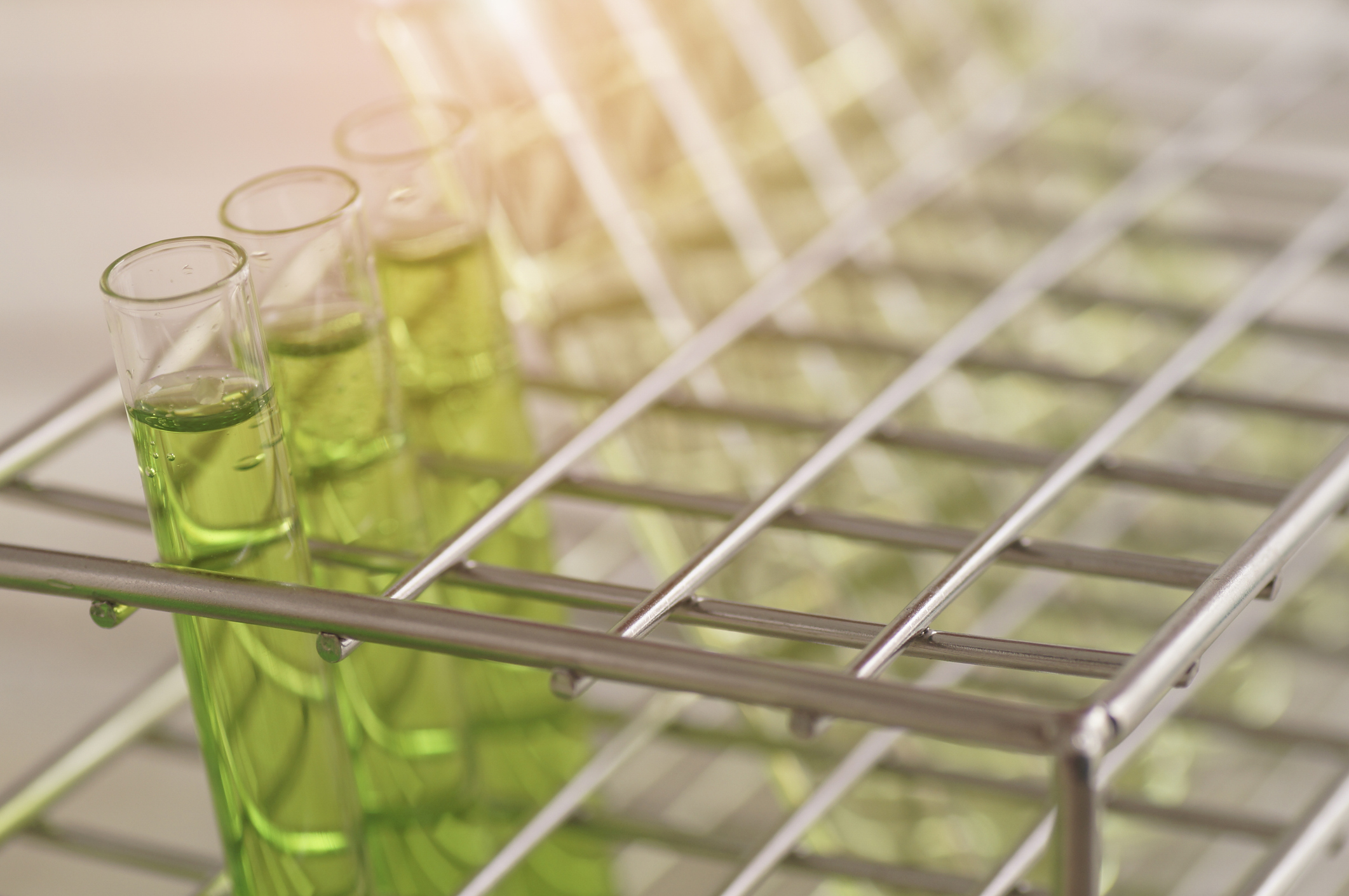 Glass laboratory filled for testing biobased materials