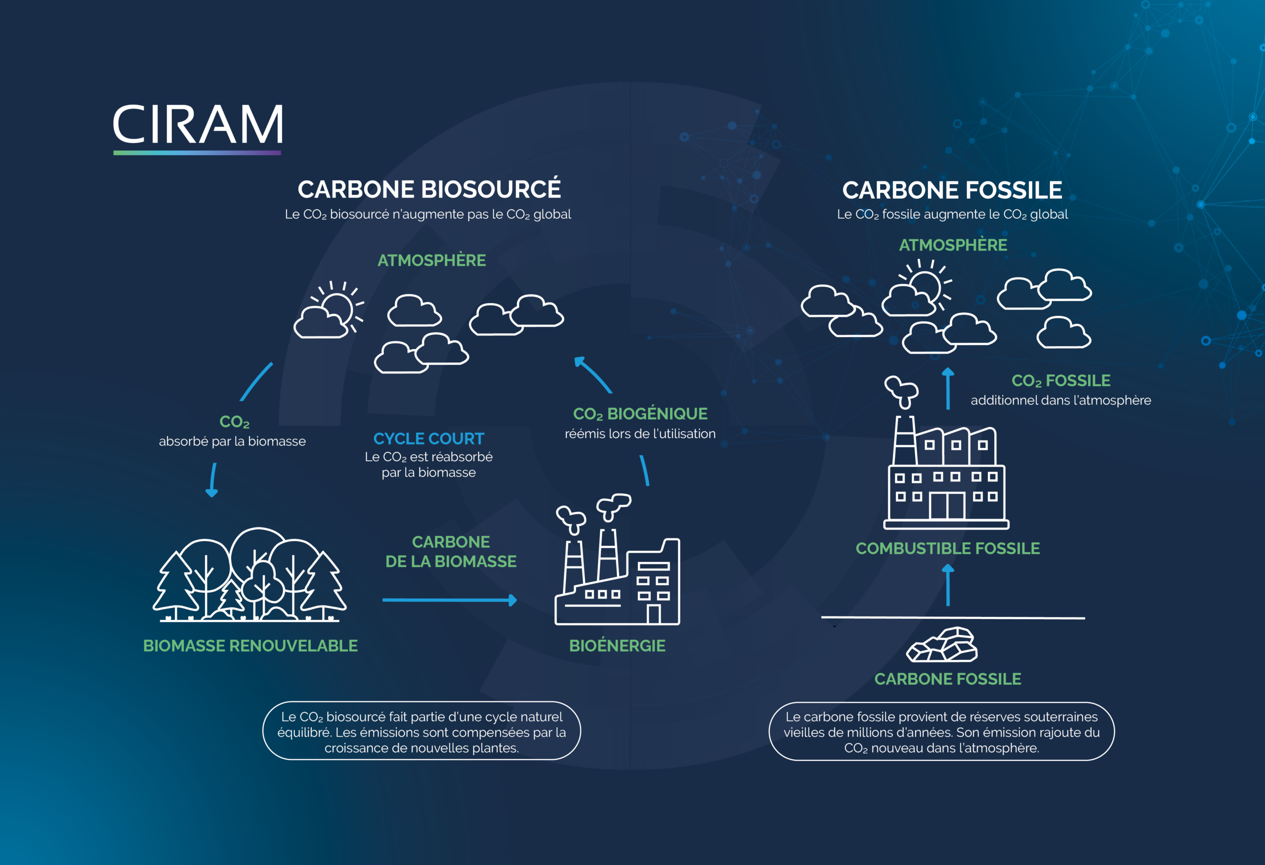 CIRAM lab Schéma carbone biogénique